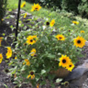 Meet your Posher, Carla